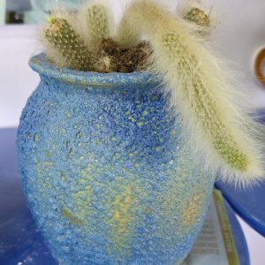 九尾狐花瓶